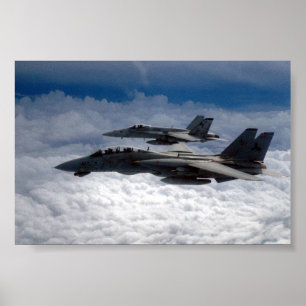 AFFICHES F-14
