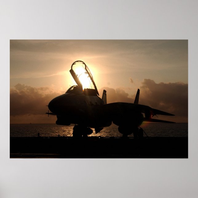 Affiches F-14 Tomcat (Devant)