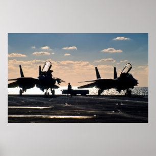 Affiches F-14 Tomcat