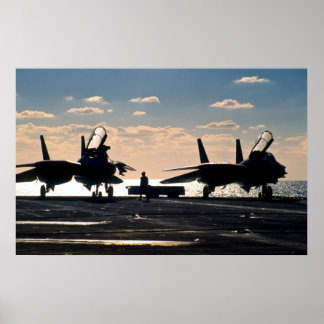 Affiches F-14 Tomcat