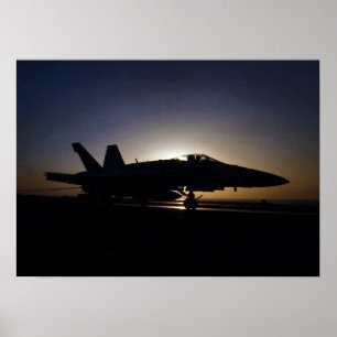 AFFICHES F-18