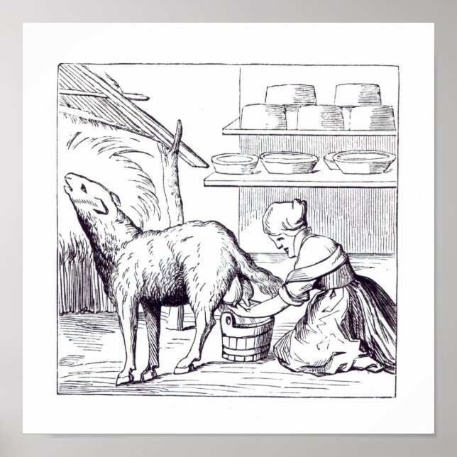 Affiches Fabrication de fromages en Suisse, après bois (Devant)