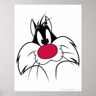 Affiches Face de nez rouge SYLVESTER™