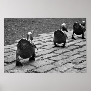 Affiches Faire place aux colliers