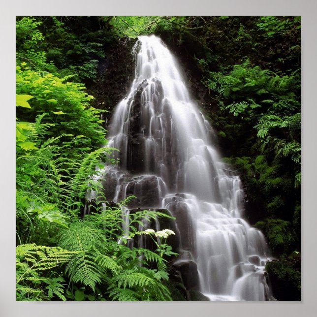 Affiches Fairy Falls (Devant)