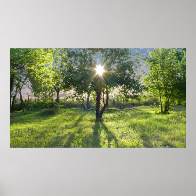 Affiches Faisceau (Devant)