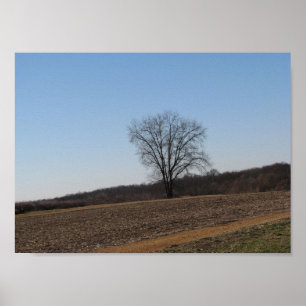 Affiches Family Tree