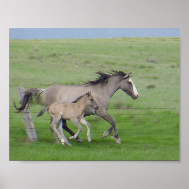 Affiches FamilyRun (Devant)