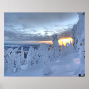 Affiches Fantômes de neige au coucher du soleil à Whitefish