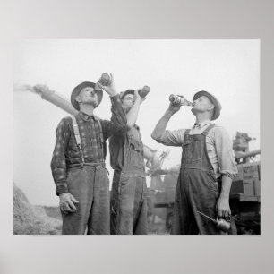 Affiches Farmers Drinking Beer, 1941. Vintage Photo