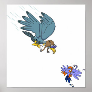 Affiches Faucon aux lunettes