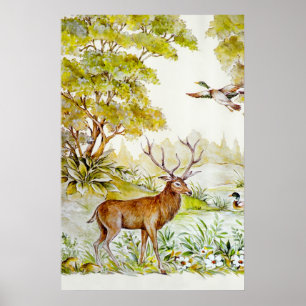 Affiches Faune