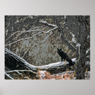 Affiches Faune 8 cmyk