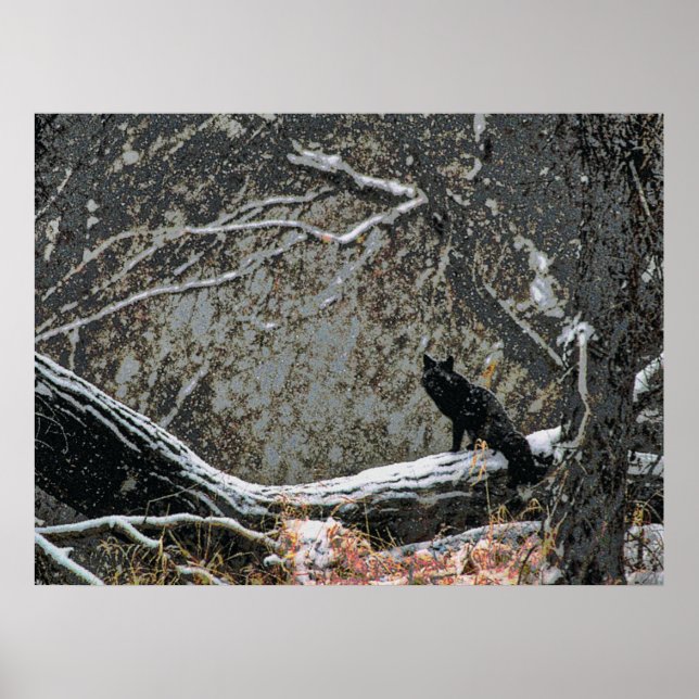 Affiches Faune 8 cmyk (Devant)