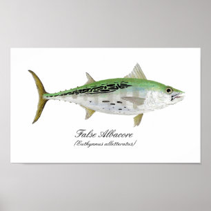 Affiches Faux thon d'albacore
