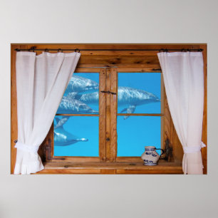 Affiches Faux Window View Underwater Dolphins Ocean Fun