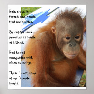 Affiches Favoris des animaux doux