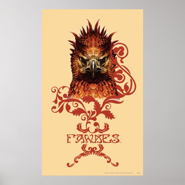 Affiches Fawkes Staring (Devant)
