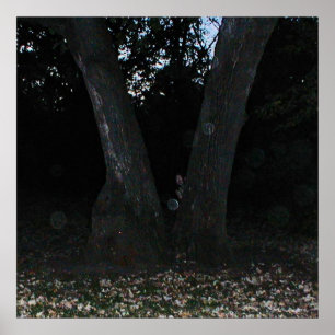 Affiches Féerie d'effroi