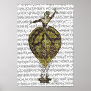 Affiches Femme de ballon à air chaud