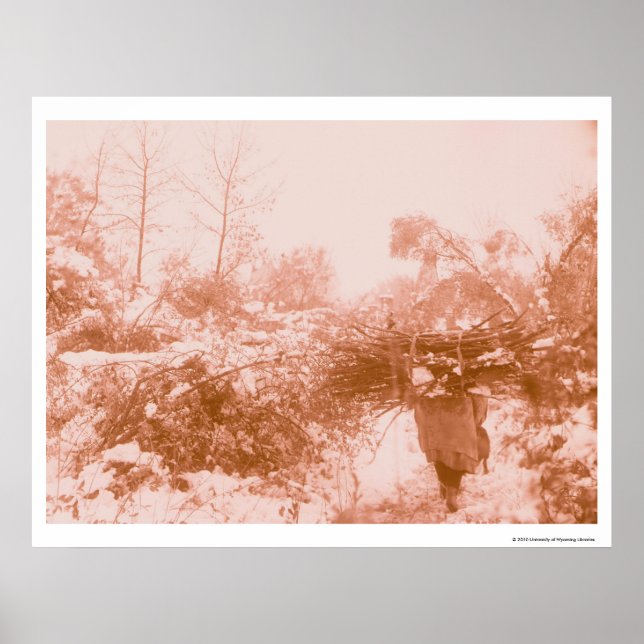 Affiches Femme Wood Gatherer (Devant)