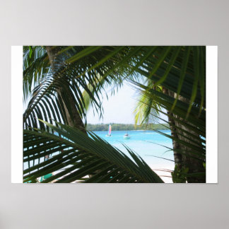 Affiches Fenêtre Paradis