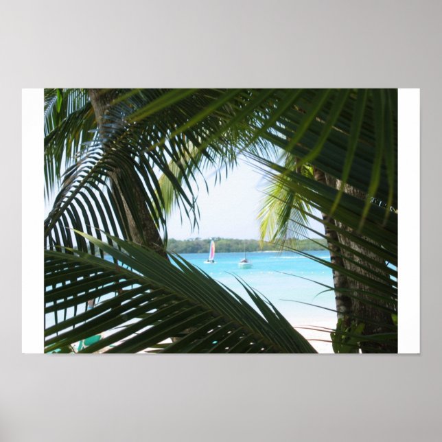Affiches Fenêtre Paradis (Devant)