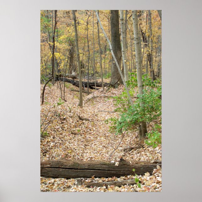 Affiches Fenêtre Woodland (Devant)