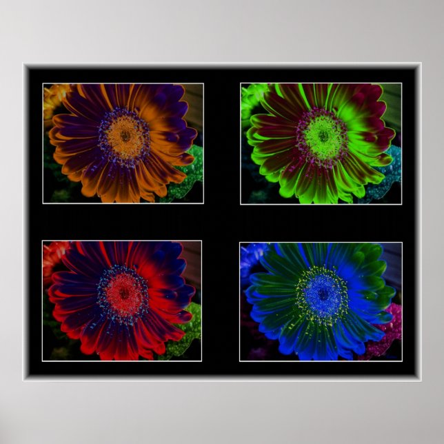 Affiches Fenêtres florales (Devant)