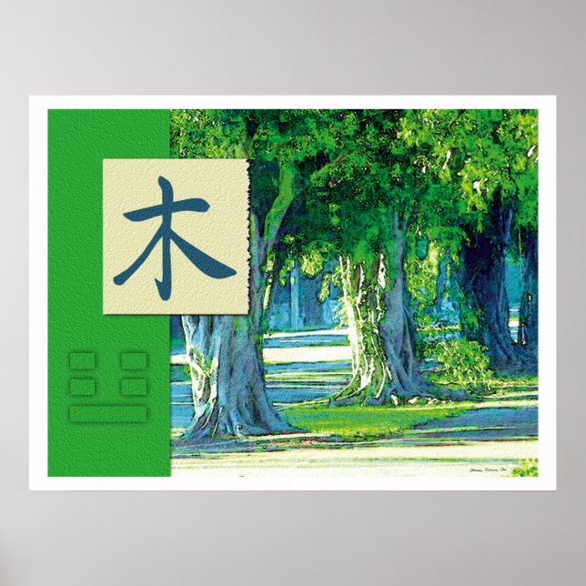 Affiches Feng Shui : Bagua Images : Paysage du bois (Devant)