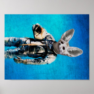 Affiches Fennec le capitaine
