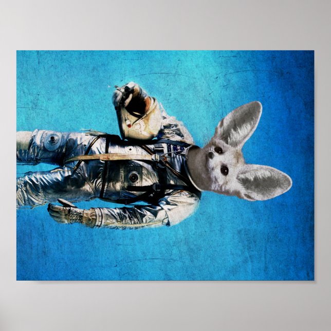 Affiches Fennec le capitaine (Devant)