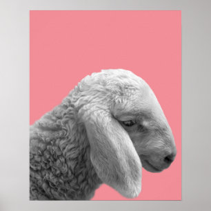 Affiches Ferme animale de moutons photo nurserie chambre d'