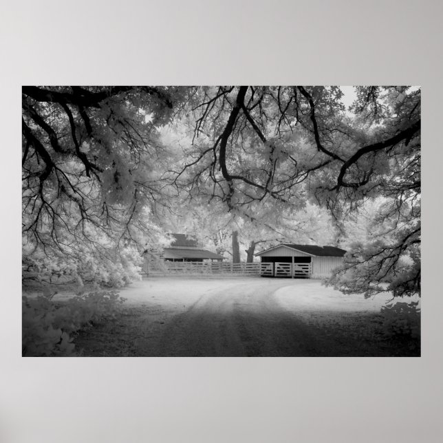 Affiches Ferme Meadowbank (Devant)