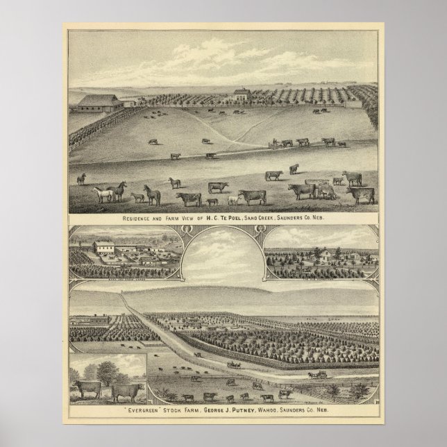 Affiches Fermes du comté de Saunders, Nebraska (Devant)