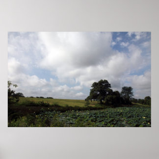 Affiches Fermes Shelby