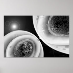 Affiches Fermez-vous vers le haut du regard à la division