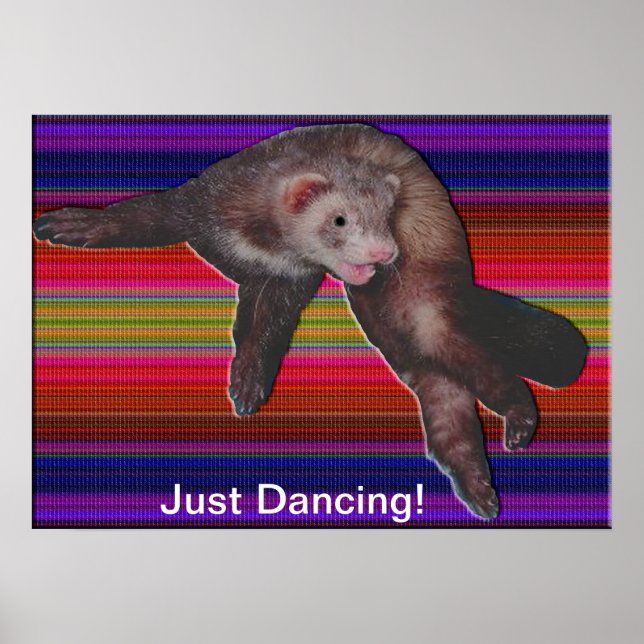 Affiches Ferret de danse (Devant)