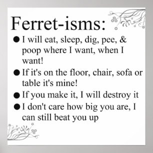 Affiches Ferret-isms & Sayings Imprimer