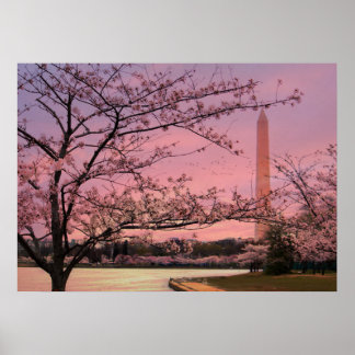 Affiches Festival Cherry Blossom du Monument de Washington