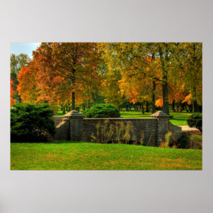 Affiches Feuillage d'automne