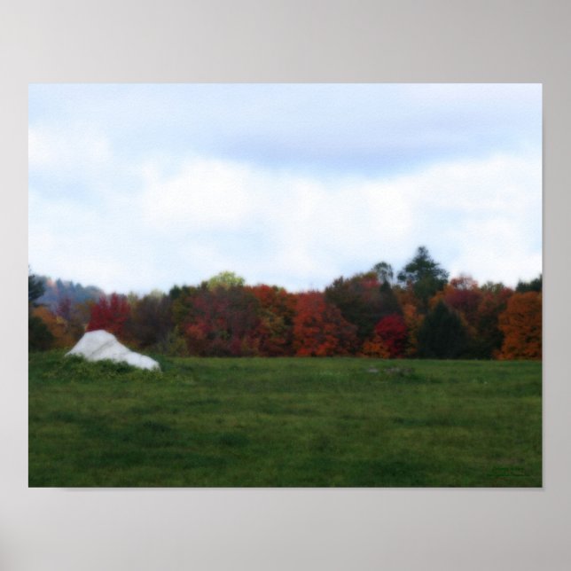 Affiches Feuillage d'automne Field Rock Nature Imprimer (Devant)