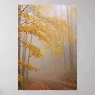 Affiches Feuillage de brouillard et d'automne, Great Smoky