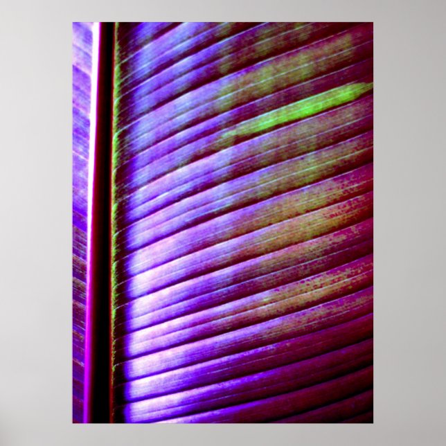 Affiches (Feuille de banane) (Devant)