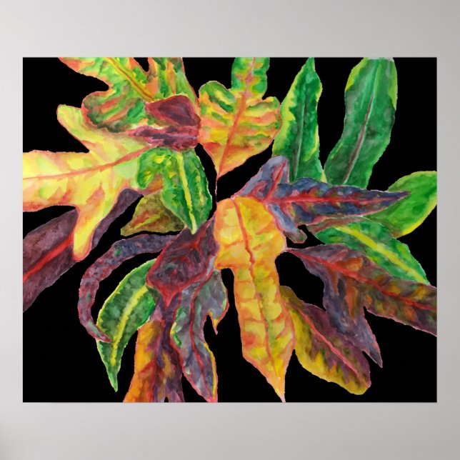 Affiches Feuille majestueux (Devant)