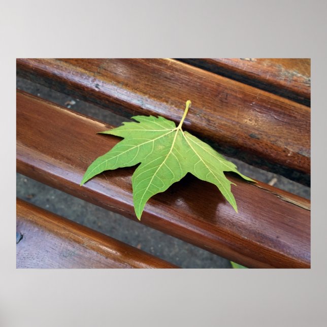 Affiches feuille tombée (Devant)