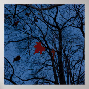 Affiches feuilles au clair de lune