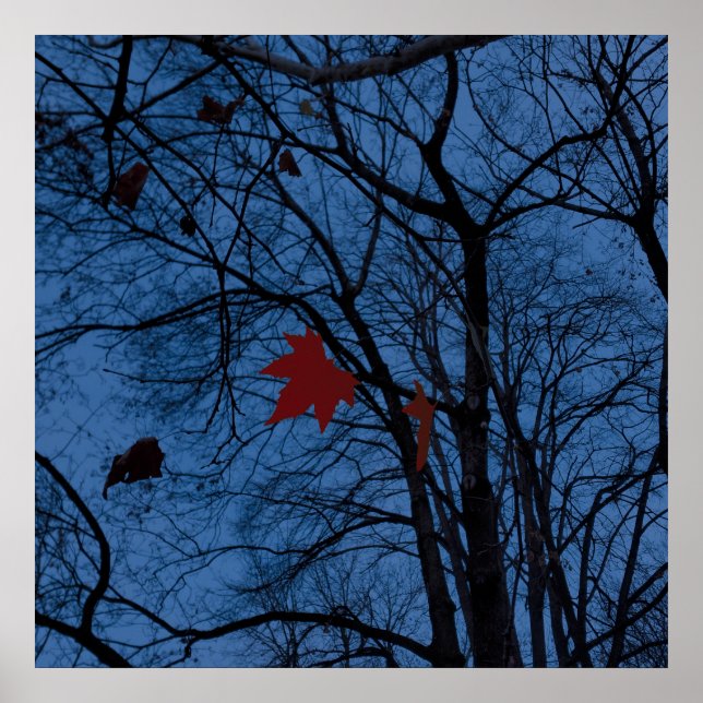 Affiches feuilles au clair de lune (Devant)