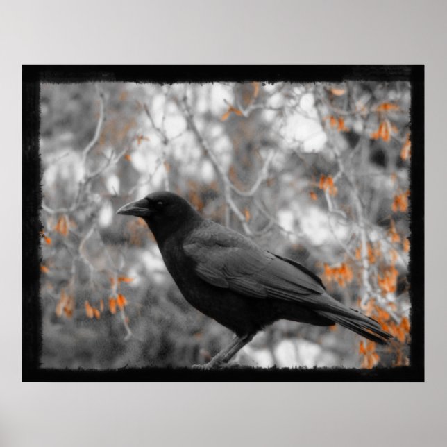 Affiches Feuilles automnales (Devant)