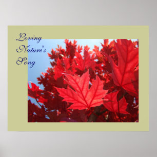 Affiches Feuilles d'automne art Chant de la nature Feuilles